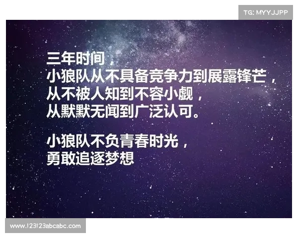 狼队崛起:从默默无闻到英超强者的传奇之路 狼队崛起:从默默无闻到英超强者的传奇之路